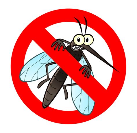 Mosquitoes often enter your home through open doors and holes in window and door screens. How to Get Rid of Mosquitoes