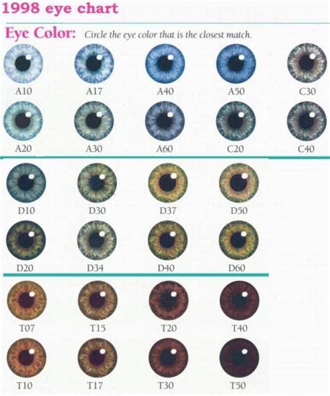 Pin By Eamaneeluch On Other Eye Color Chart Eye Color Facts Eye