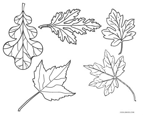 Coloring Fall Leaves Clip Art Sketch Coloring Page