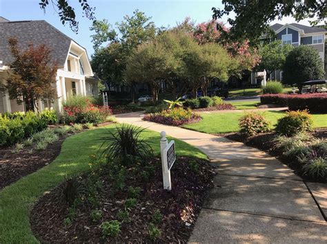 South Landscaping - Landscaping - Raleigh, North Carolina