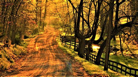 Dirt Road In Autumn Image Abyss