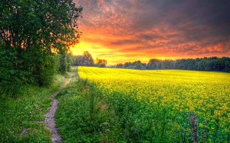 Beautiful Field Wallpapers Most Beautiful Places In The