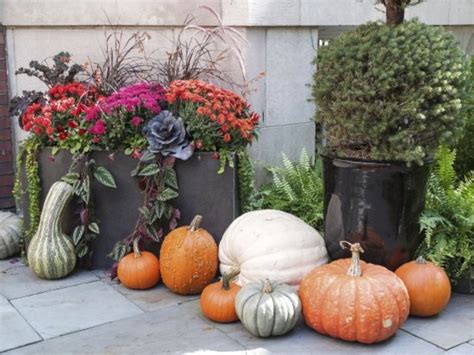 5 Fall Container Gardening Ideas That Celebrate Autumn Organic Authority