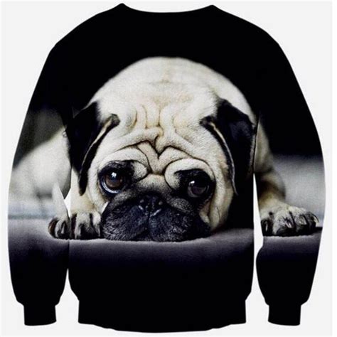 Pin On Dog Sweatshirt
