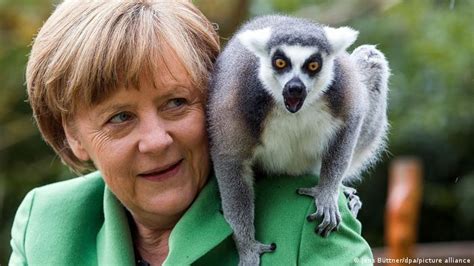 Dw News On Twitter A Photo Of Angela Merkel Overwhelmed By Parrots