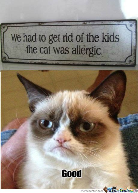 Maybe you would like to learn more about one of these? Pin on Cats =^..^= Grumpy Cat
