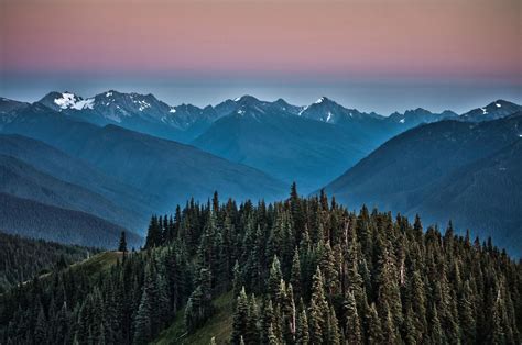 Olympic Mountain Twilight Photo Was Taken At Hurricane Hill Olympic