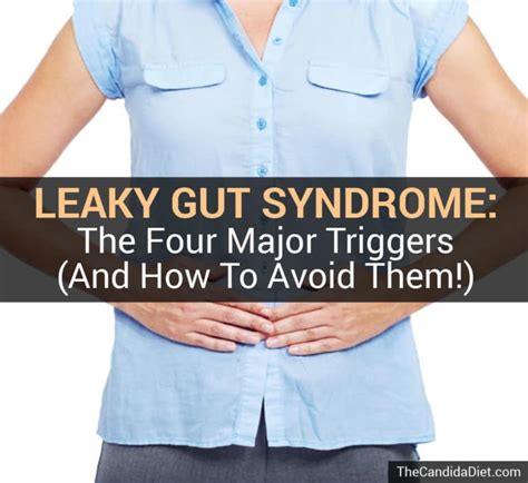 The Causes Of Leaky Gut Syndrome And How To Treat It The Candida Diet
