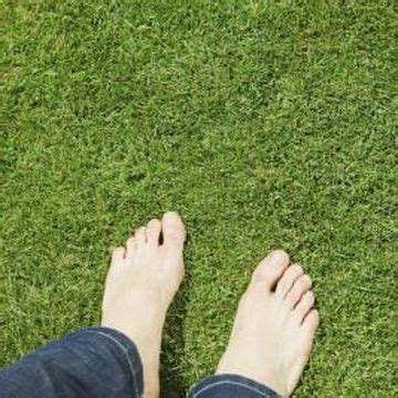It will create healthier, greener, bushier houseplants only if your houseplants are deficient in magnesium or sulfate. Epson Salt & Lawn Care | Lawn care, Lawn fertilizer, Epson ...