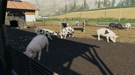 Farming Simulator 19 More Animals Is Coming Farming Simulator 19
