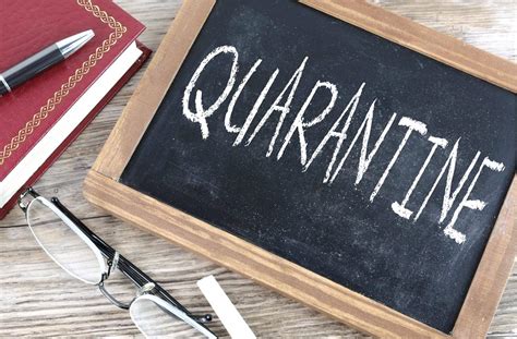 Quarantine Free Of Charge Creative Commons Chalkboard Image