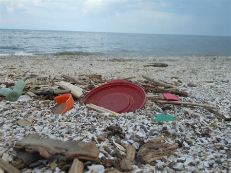 Great Lakes Orandrs Marine Debris Program