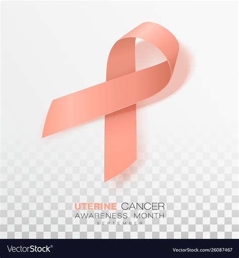 Uterine Cancer Awareness Month Peach Color Ribbon Vector Image