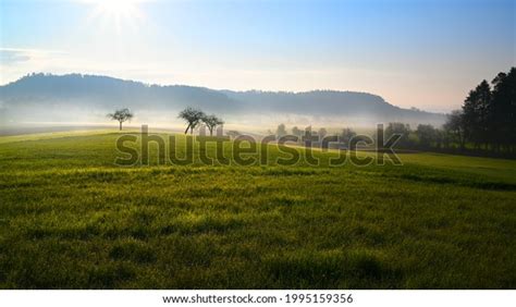 Sunny Morning Countryside Fruit Trees Meadow Stock Photo Edit Now