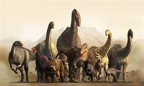 An Group Of Ankylosaurid Dinosaurs From The Early Poster Ba