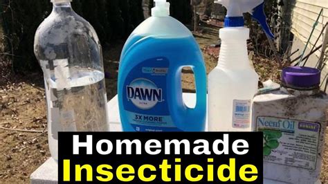 Homemade Insecticide Homemade Insecticide Fall Vegetables To Plant