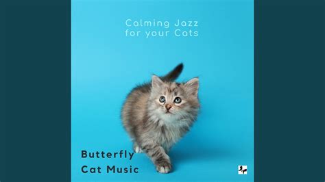 Calming Jazz For Your Cats Youtube Music