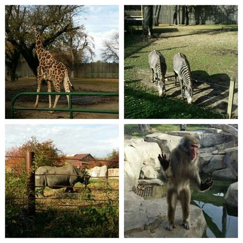 Great Plains Zoo And Delbridge Museum Of Natural History Located In