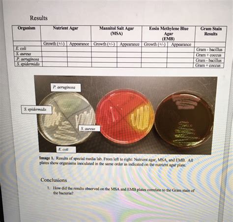 Solved Results Organism Gram Stain Results Nutrient Agar