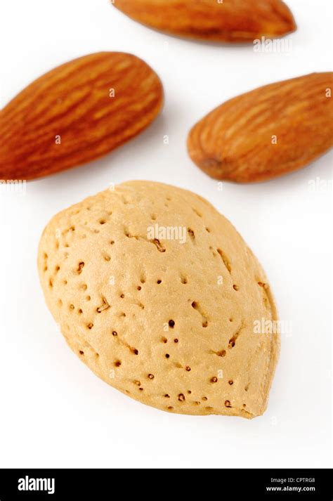 Almond Shell Hi Res Stock Photography And Images Alamy
