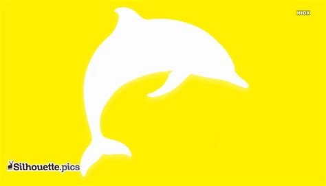 Dolphin Silhouette Vector Free Download Silhouettepics