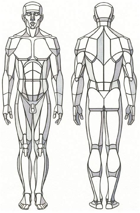 Pin By Zanzie Nambru On Draw Human Anatomy Drawing Human Body