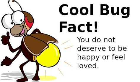 Cool Bug Fact Cool Bug Facts Know Your Meme