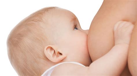 Apego, lactancia y desarrollo humano 42 7. No, la lactancia materna no aumenta la inteligencia del bebé