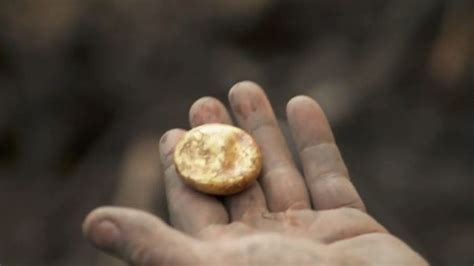 Gold Discovered At Oak Island The Archaeology And Metal Detecting