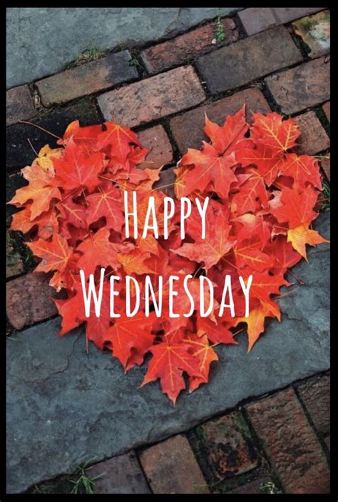 Wednesday Fall Images Good Morning Motivational Quotes