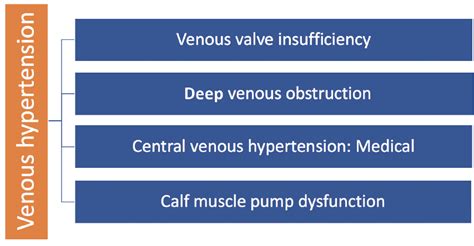 The Need For Comprehensive Venous Care Endovascular Today