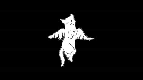 The Flying Cat Youtube