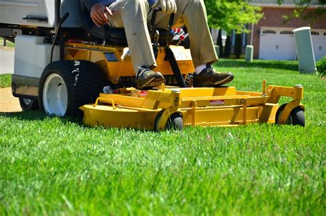 The Basics Of Lawn Care And Maintenance