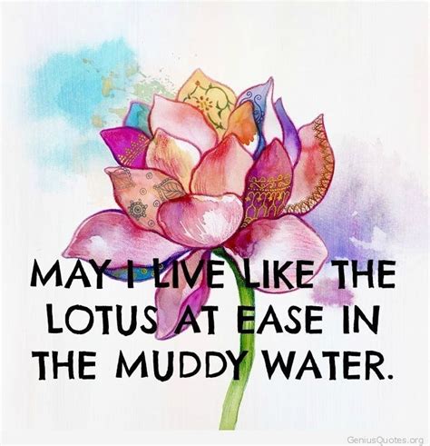 Live Like The Lotus Nature Quotes Inspirational Nature Quotes Yoga