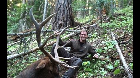 Idaho Archery Elk Hunt Limitless 7 Youtube