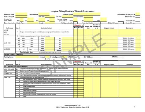 Medical Billing Audit Template