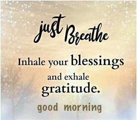 Good Morning Gratitude Quotes Good Morning Quotes Morning Quotes