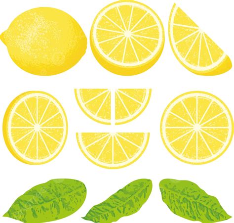 Lemon Slice Icon Juicy Vector Slice Icon Juicy Png And Vector With