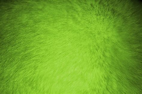 45 Lime Green Wallpapers On Wallpapersafari