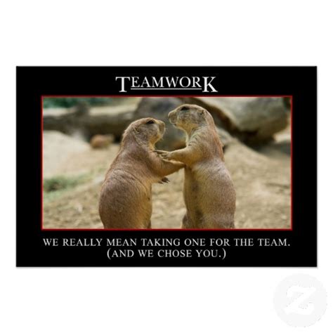 You can spend hours reading business books and browsing blogs about teamwork, but then sometimes one little quote just seems to say more than an entire book ever could. Teamwork, We Really Mean Taking One For The Team( And We ...
