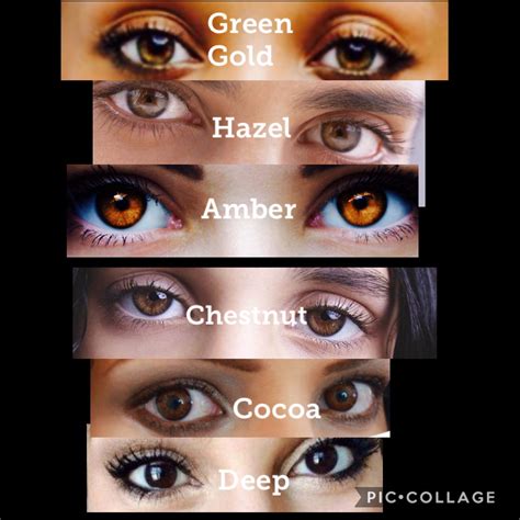 Brown Eyes Eye Color Facts Eye Color Chart Brown Eye Quotes Eye Color