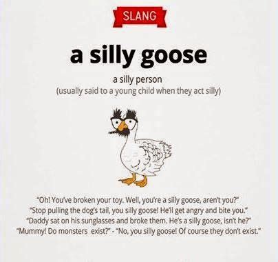 Sillier, silliest [me seli, sili (with shortened vowel), good, blessed, innocent < oe sælig, happy, prosperous, blessed (akin to ger selig, blessed) < sæl, happiness < ie base * sel , favorable, in good spirits (> gr… … English is FUNtastic: Slang - the meaning of "a silly ...
