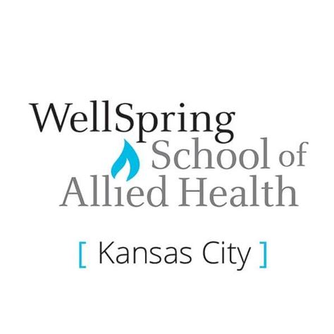 Wellspring School Of Allied Health