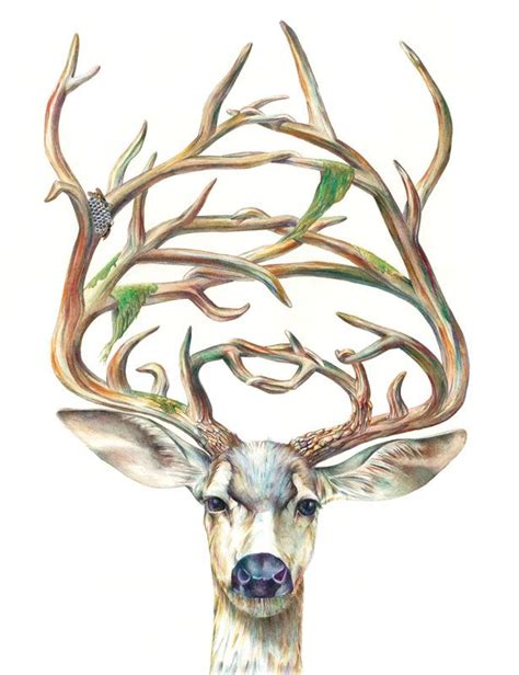 Brandon Keehner Deer Art Framed Art Prints Art