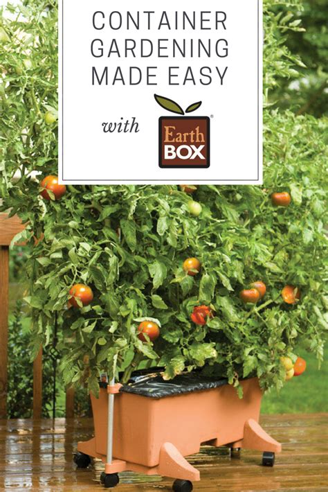 Container Gardening Made Easy With Earthbox Gardening