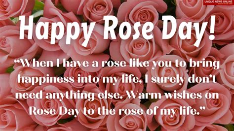 Happy Rose Day 2021 Wishes Quotes Messages Greetings And Status To Share