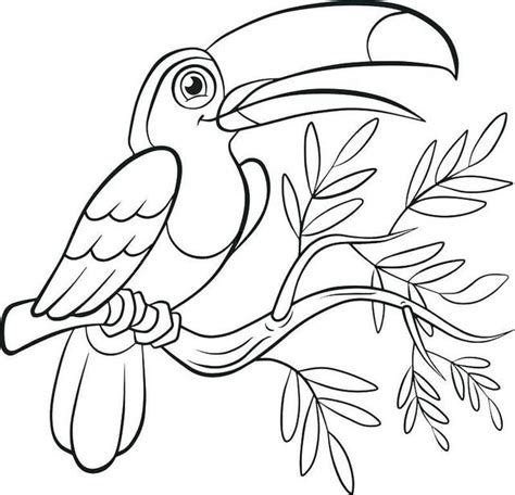 Toucan coloring pages realistic drawing. fun toucan bird coloring page