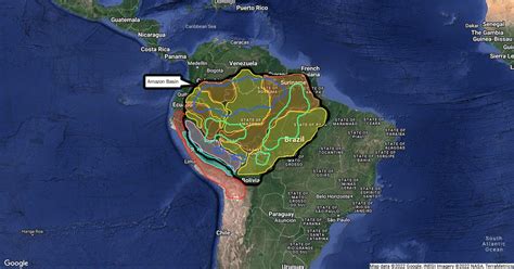 Amazon Rainforest Scribble Maps Sexiz Pix