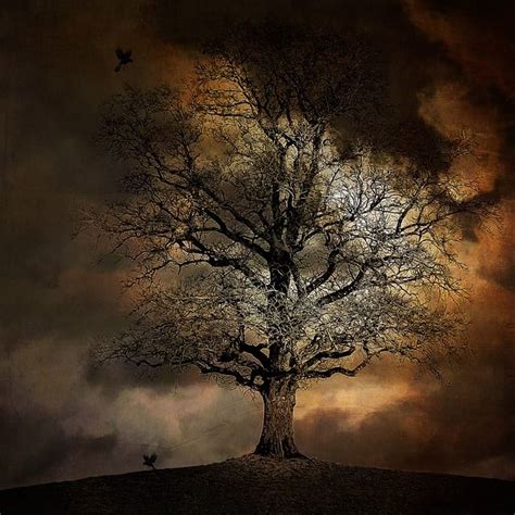 Free Image On Pixabay Tree Landscape Crow Moon Dark Tree