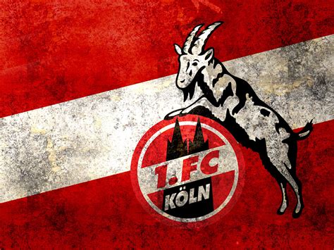 Februar 1948 durch den zusammenschluss der beiden fußballvereine kölner bc 01 und spvgg sülz 07 gegründet. 1. FC Köln #004 - Hintergrundbild